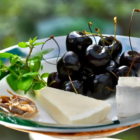 Grape 5* Βρότσλαβ